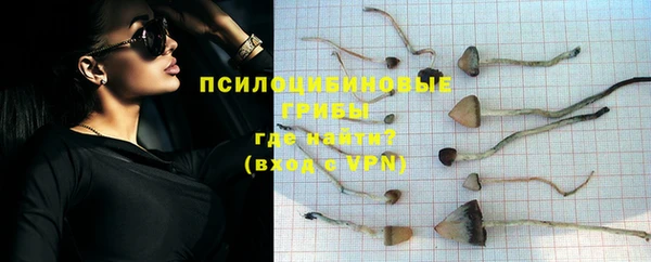 ешки Среднеколымск