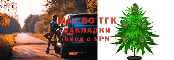 индика Вяземский