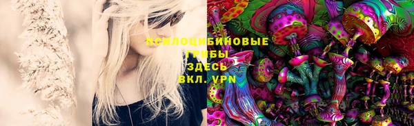 твердый Братск